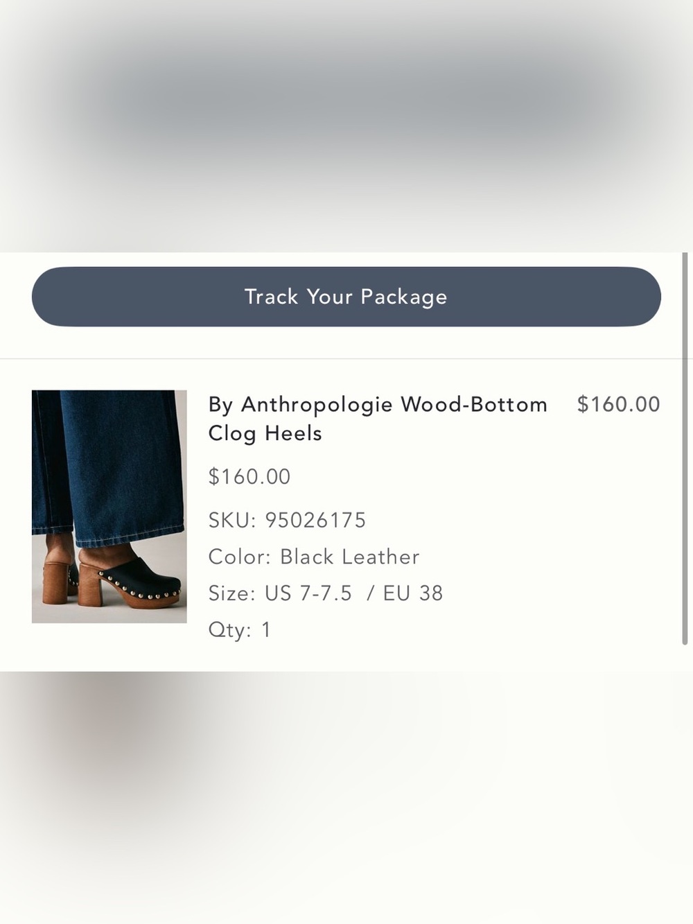 Anthropologie Wood-Bottom Clog